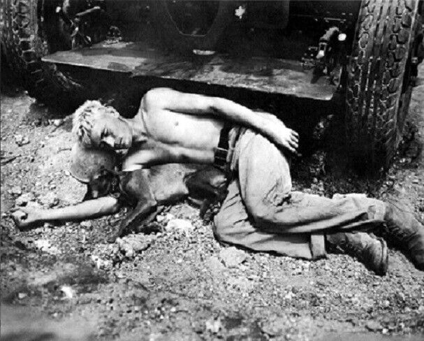 Marine with his dog asleep on a bed of rocks on Okinawa WWII 8x10 Photo 410a