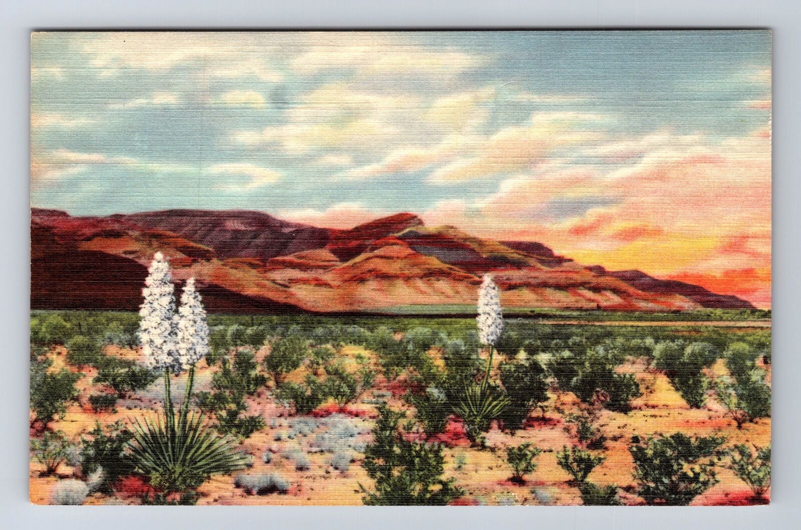 Alamogordo NM-New Mexico, Sacramento Mountains, Vintage Postcard