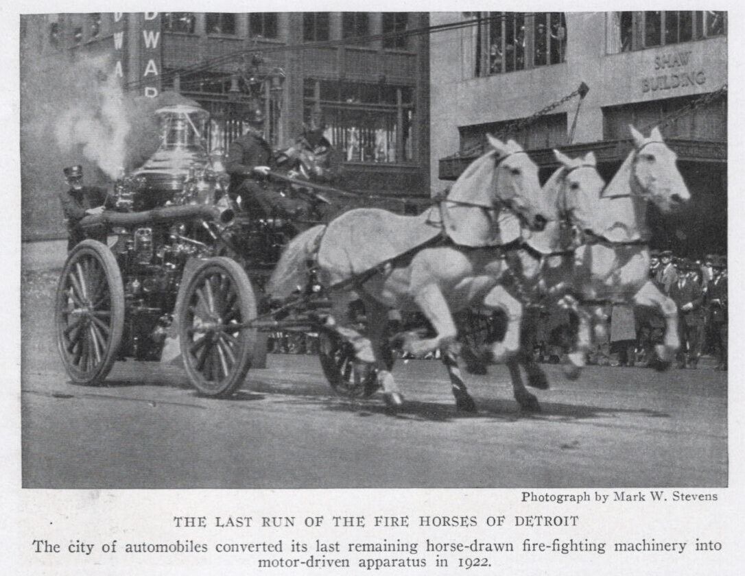 Fire Horses of Detroit Michigan - 1923 Vintage Horse Print - CUSTOM MATTED