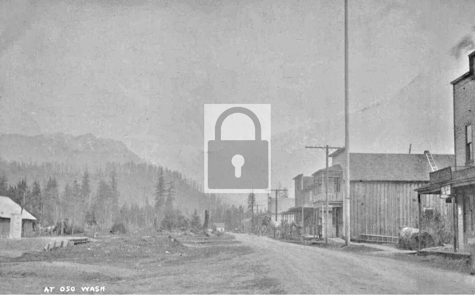Street View Snohomish County Oso Washington WA Reprint Postcard