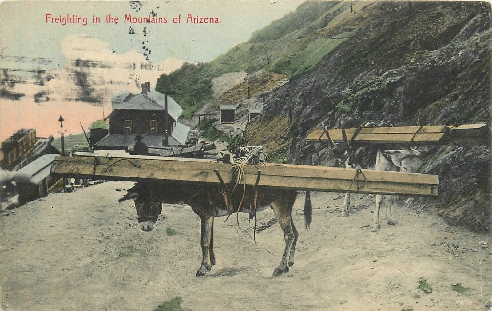 Postcard 1913 Arizona Freighting in the mountains mule mining Berryhill AZ24-941