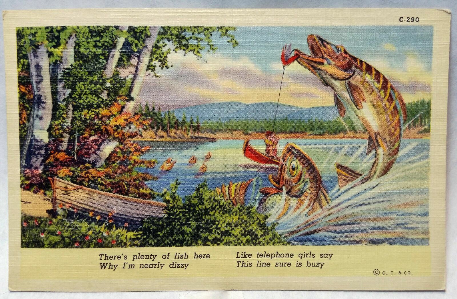 Big Fish Comics Fishing Exaggeration Comic Linen 1940s Linen Postcard C-290   1J