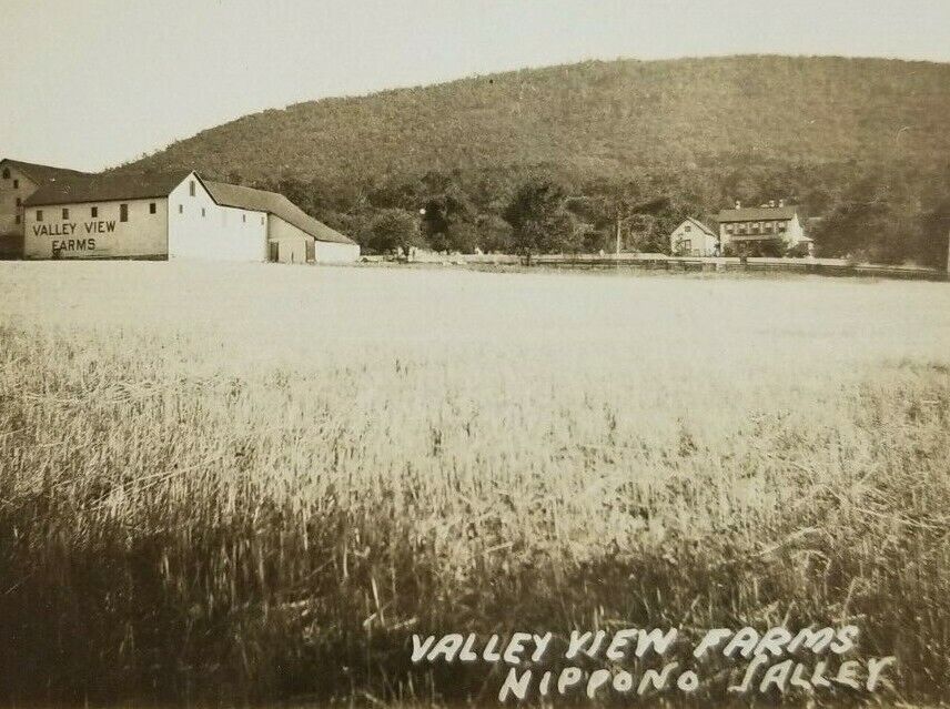 Postcard Real Photo Valley View Farms Nippono Williamsport Pennsylvania 1902