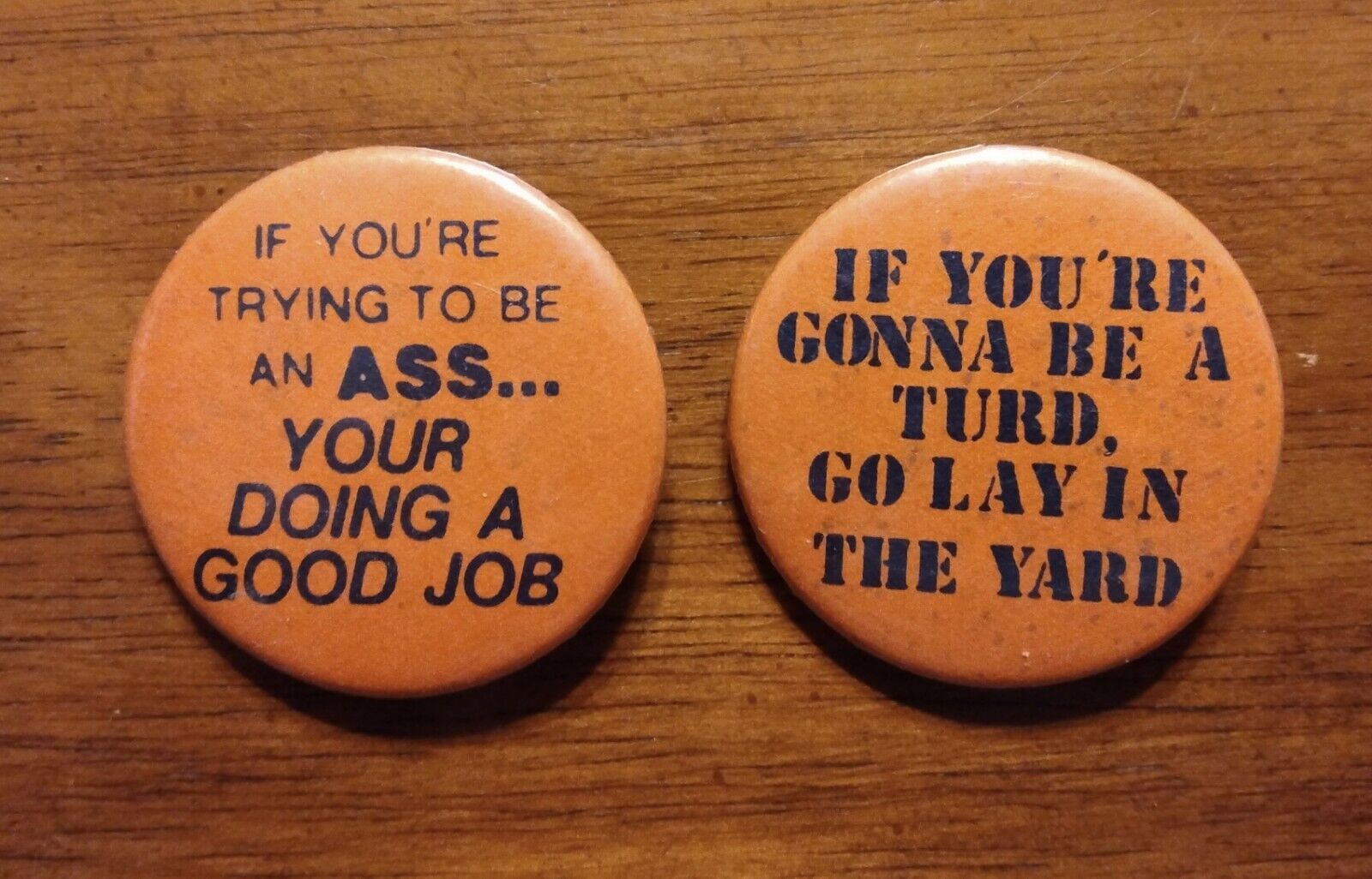 2 Vintage Insult Button Pins Gonna Be a Turd Lay in Yard Good Job Being an Ass