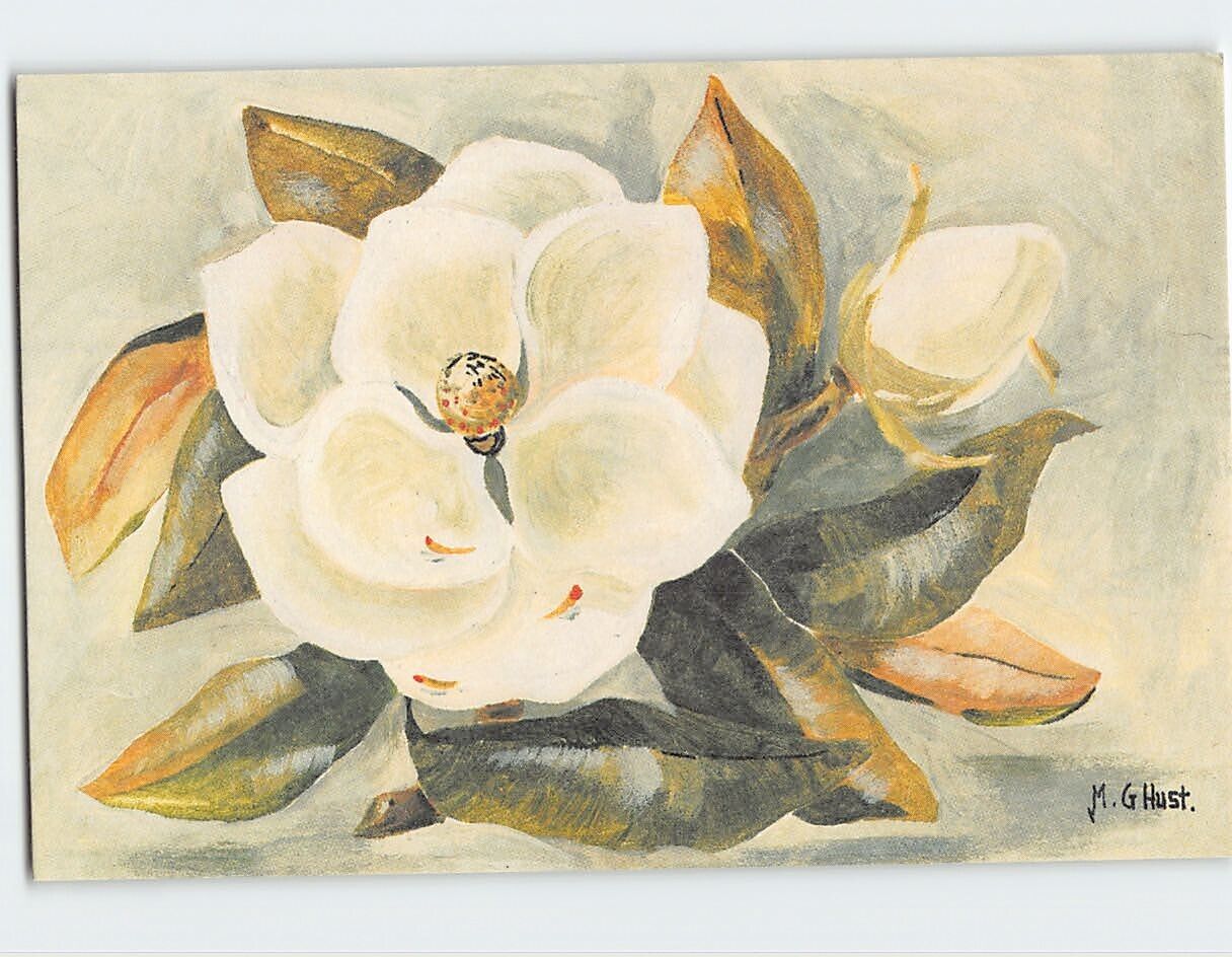 Postcard White Flower Art Print