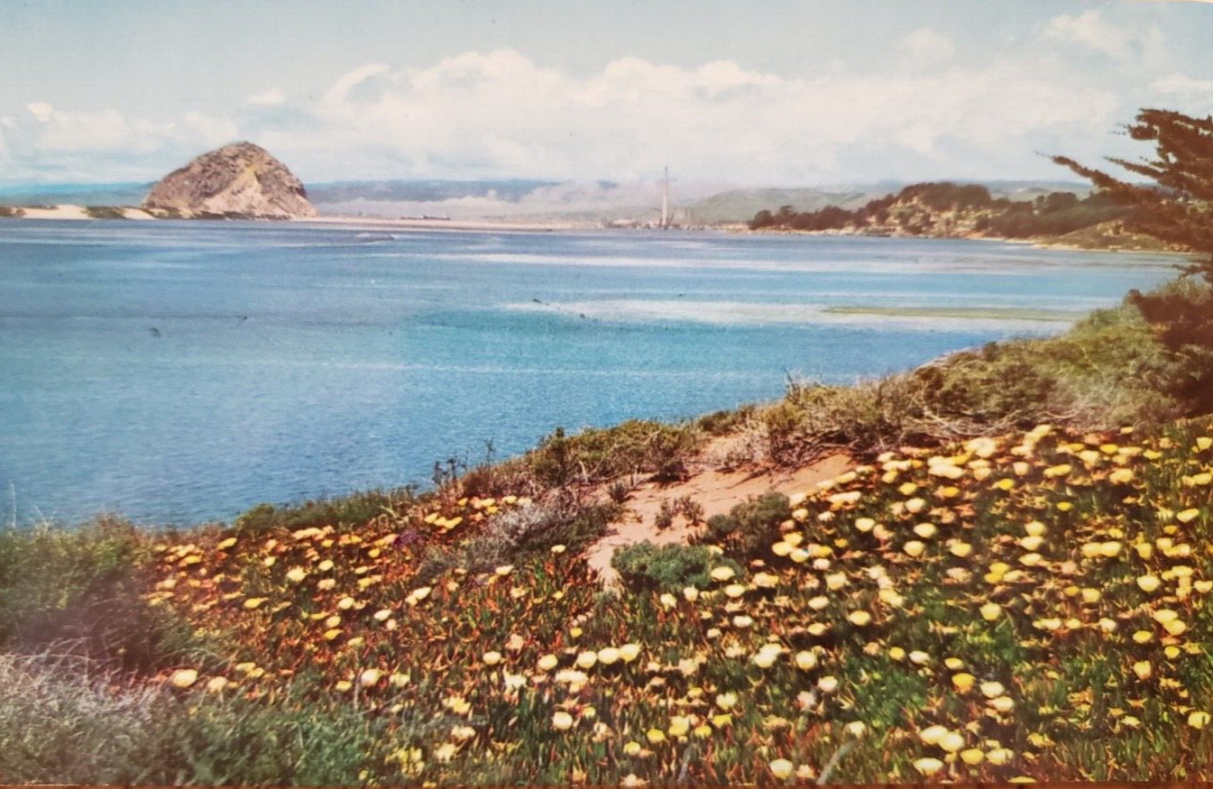 Morro Rock and Bay, Harbor  View From Baywood CA 1950s Vintage Postcard