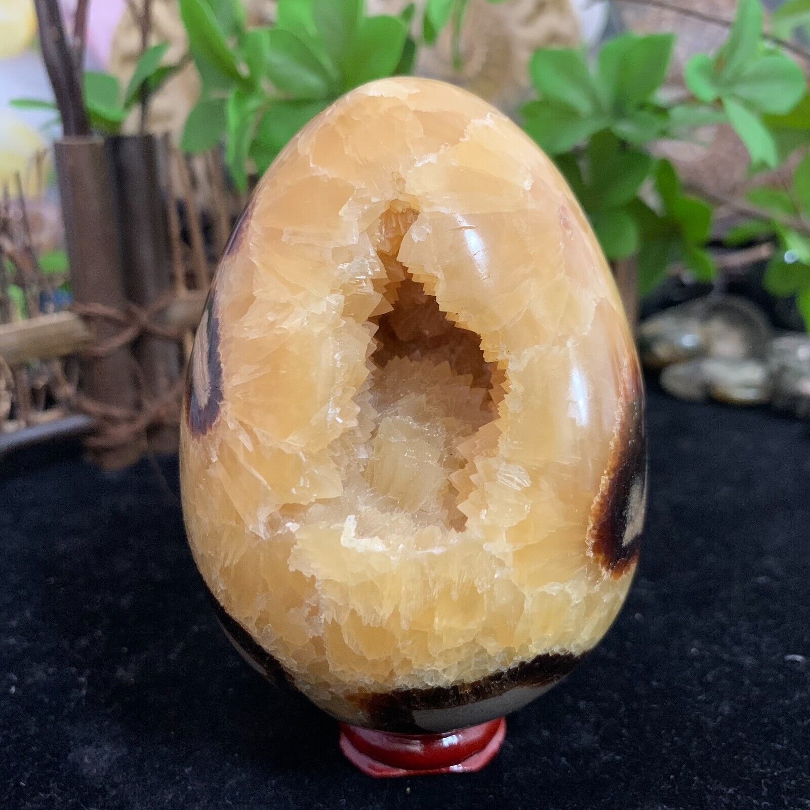 1.61LB Natural Dragon Septarian Polished Crystal Egg Specimen Reiki Healing