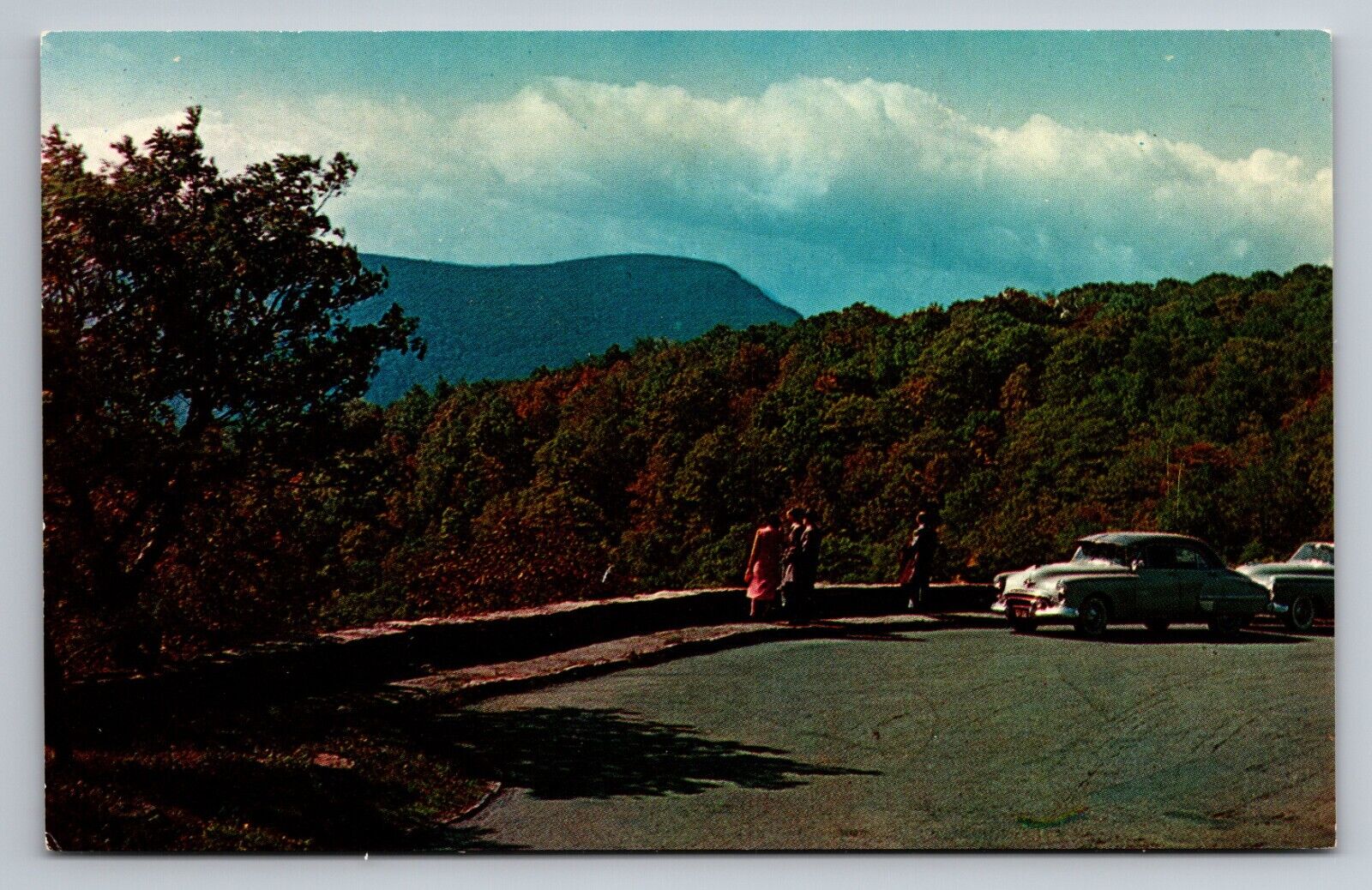 Skyline Drive Shenandoah National Park Virginia Vintage Unposted Postcard