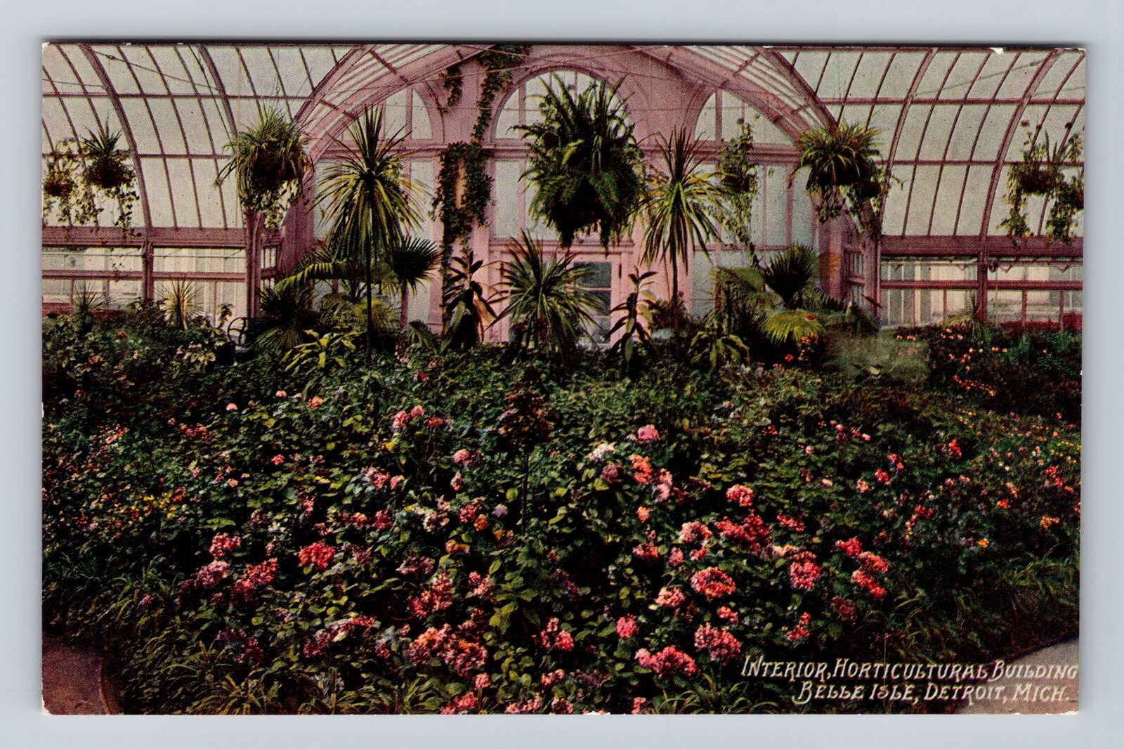 Detroit MI-Michigan, Belle Isle Horticultural Building, Vintage Postcard