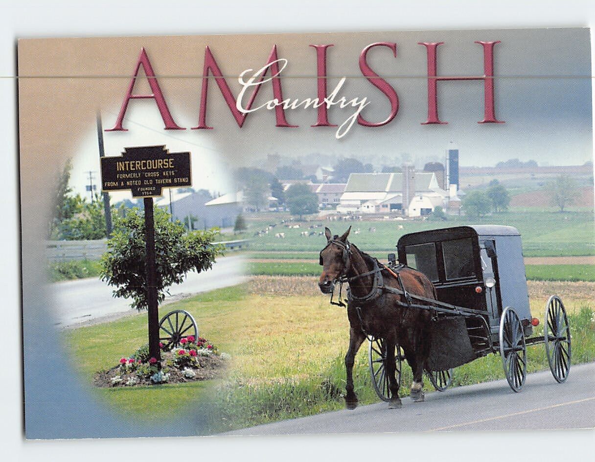Postcard A typical Amish farm scene Amish Country Pennsylvania USA