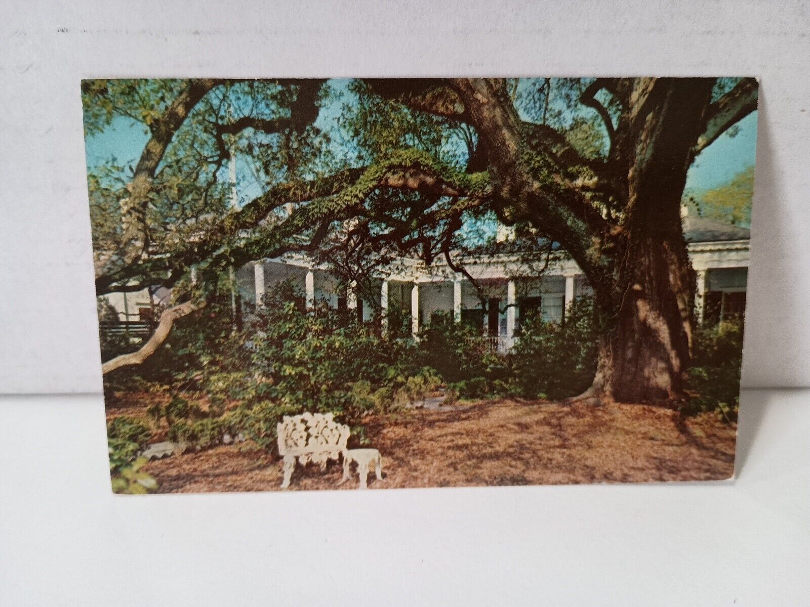 Postcard Mississippi Natchez  Green Leaves Ante Bellum Home  102201