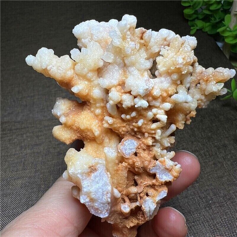 119G Beautiful Natural stalactite Crystal Cluster Mineral Specimen/China
