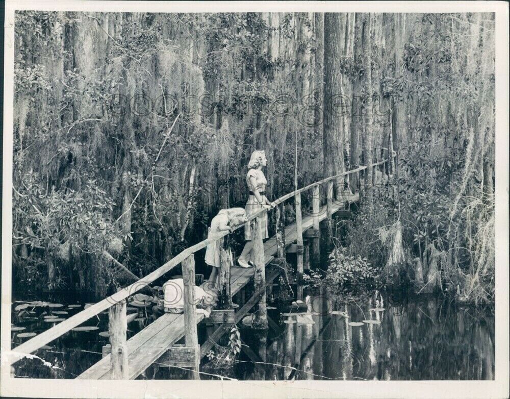 1950 Press Photo Girls on Catwalk Footbridge Cypress Swamp Highlands Hammock Pk