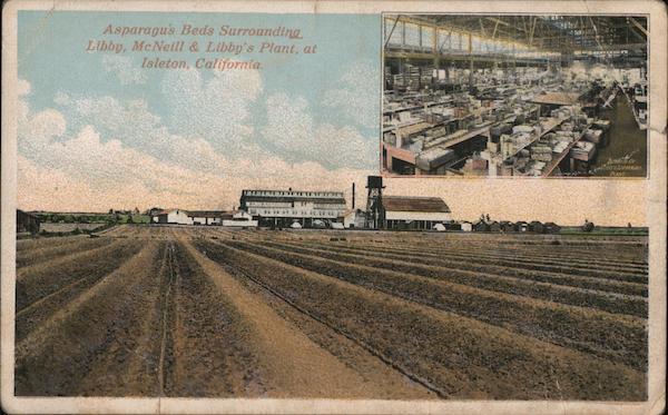 Isleton,CA Libby's California Asparagus Sacramento County Antique Postcard