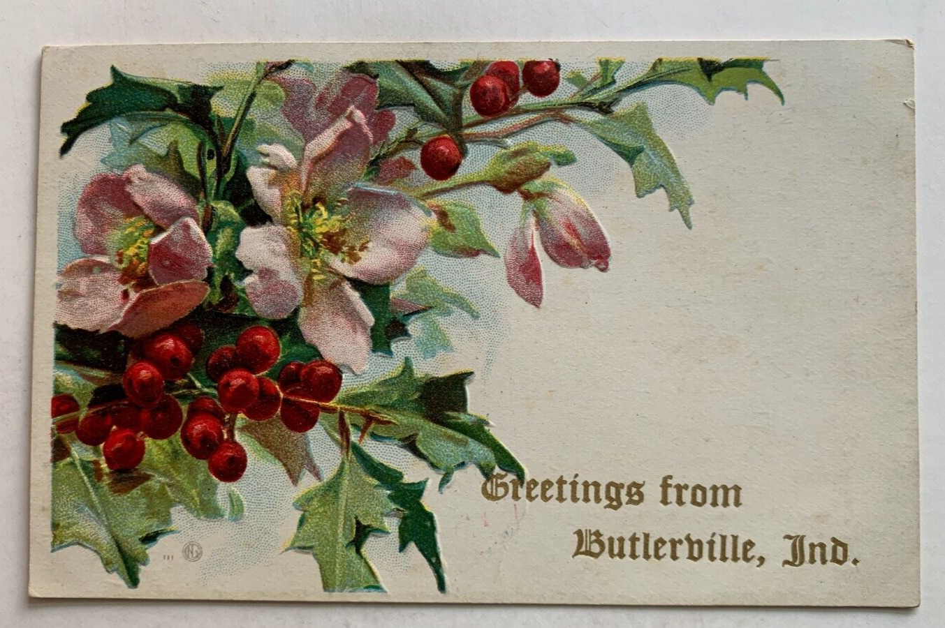 c 1900s Indiana Postcard Greetings from Butlerville Ind vintage embossed flowers