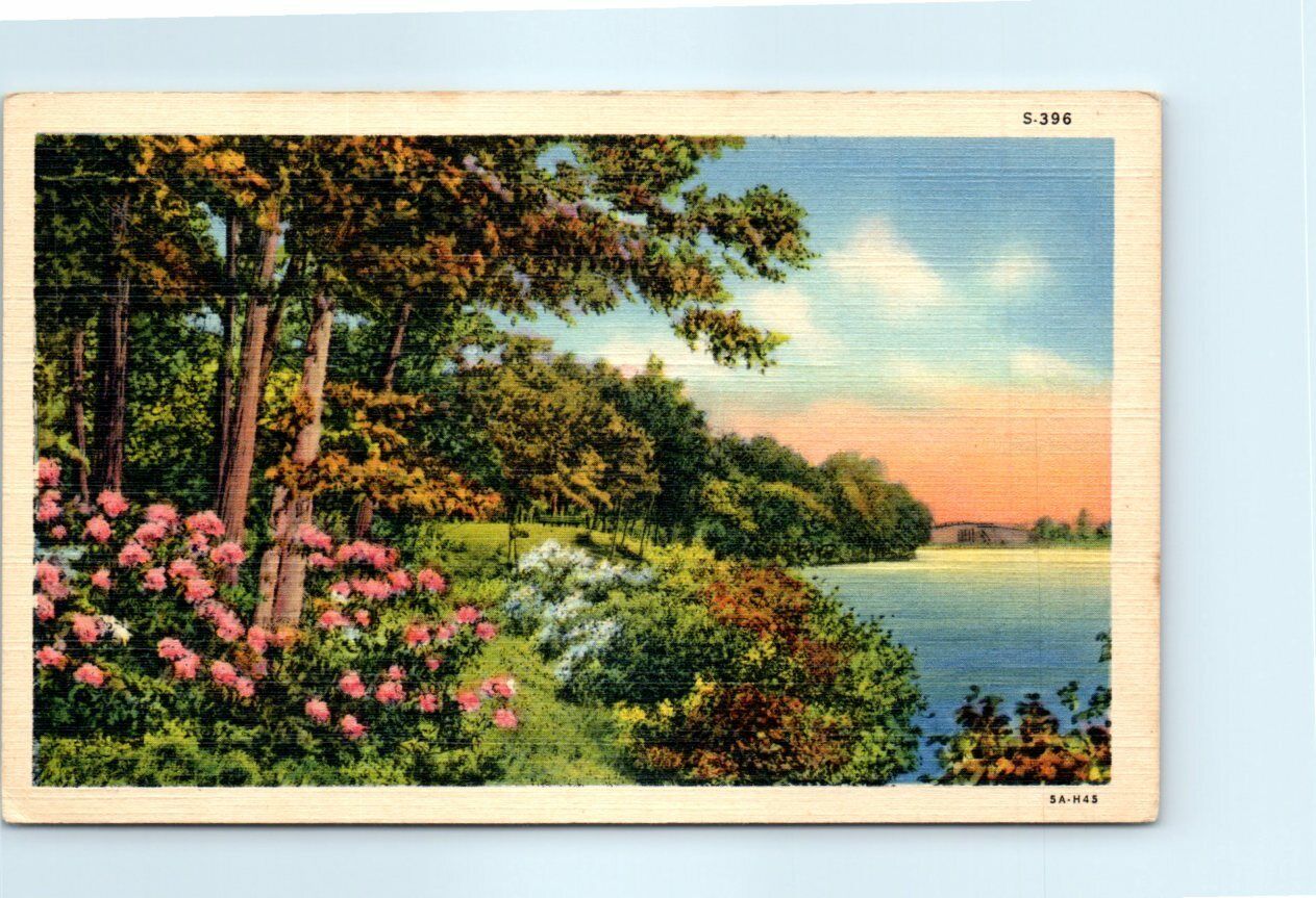 Postcard - Bad Axe, Michigan