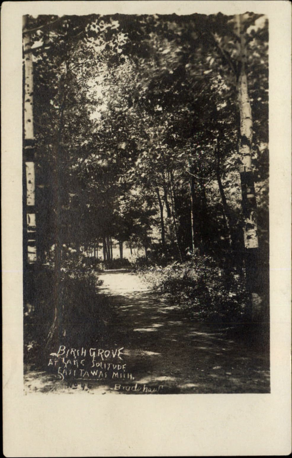 RPPC East Tawas MI Birch Grove Lake Solitude 1906-12 Artura real photo postcard