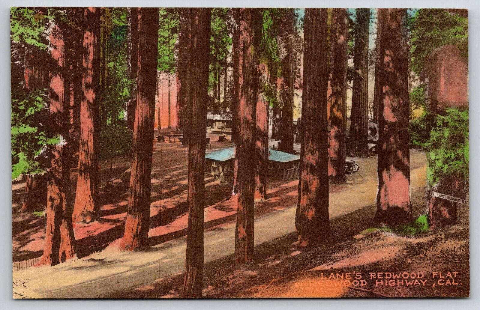 Postcard Redwood Highway CA Lane\'s Redwood Flat Vintage Post Card