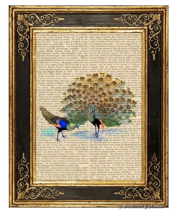 Peacock #5 Art Print on Vintage Book Page Home Wall Hanging Decor Gifts Birds