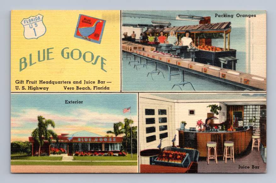 Blue Goose Orange Packing House VERO BEACH Florida Linen Advertising ~1940s