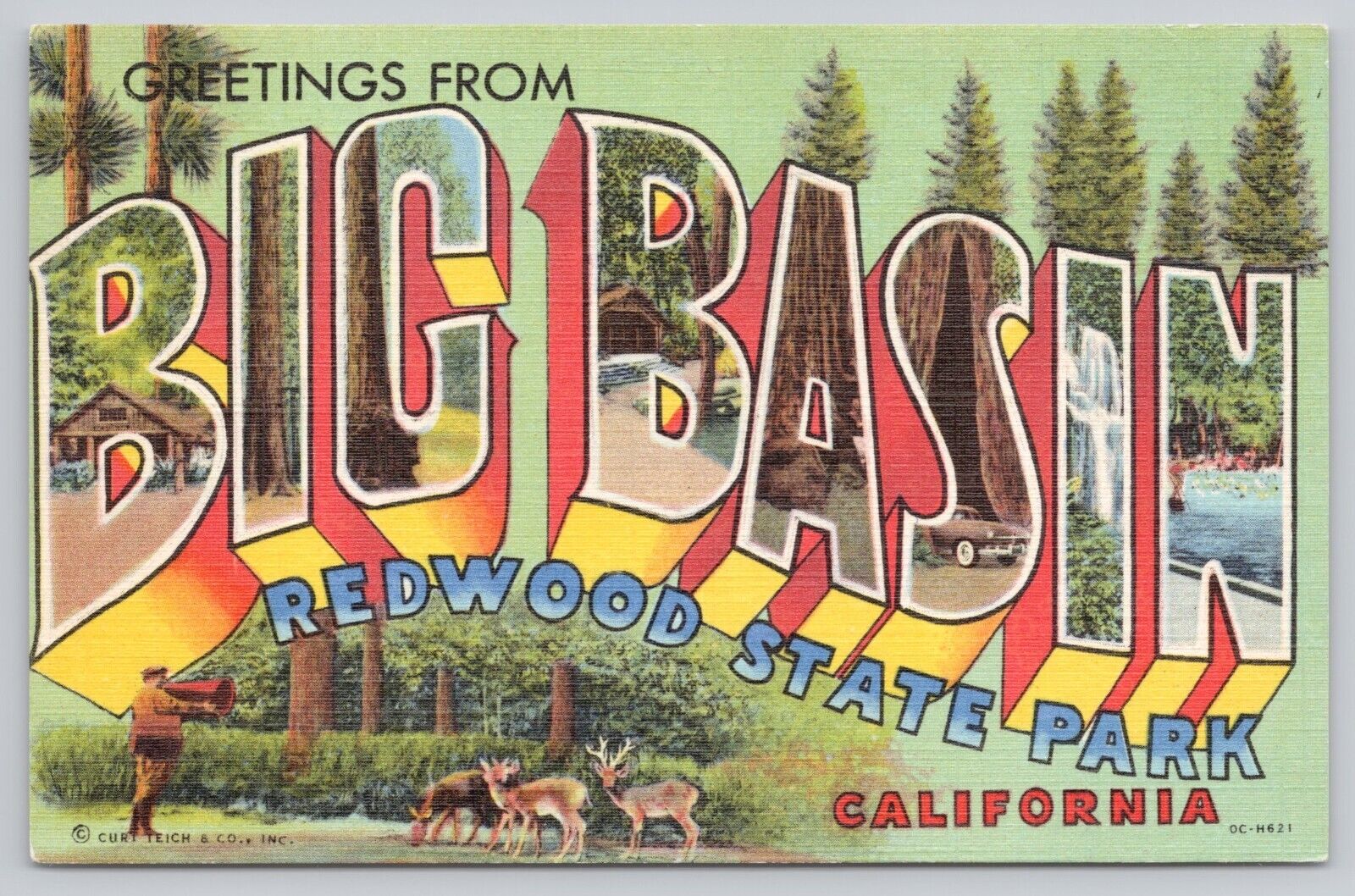 Big Basin Redwood State Park California, Large Letter Greetings Vintage Postcard