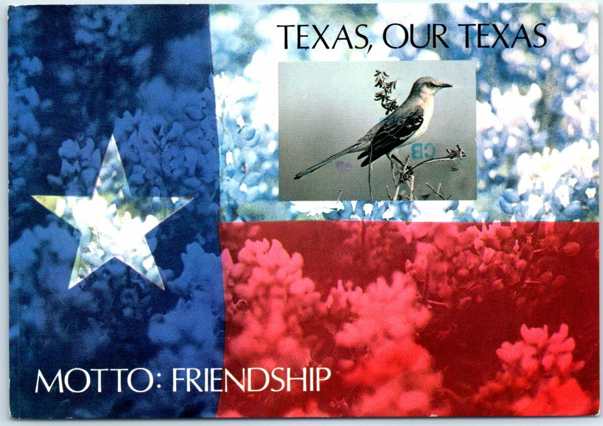 Postcard - Texas, Our Texas
