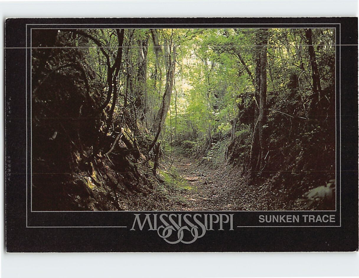 Postcard Sunken Trace Natchez Trace Parkway Port Gibson Mississippi USA