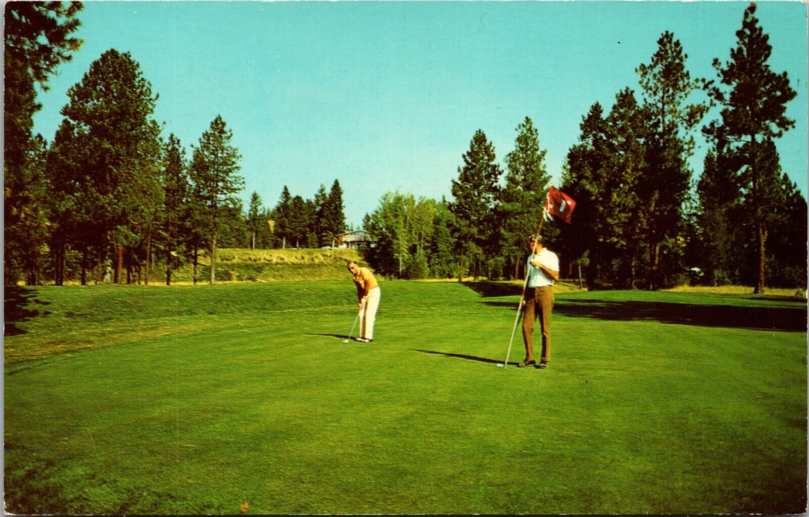 Kimberley British Columbia Canada Kimberley Golf & Country Club Postcard