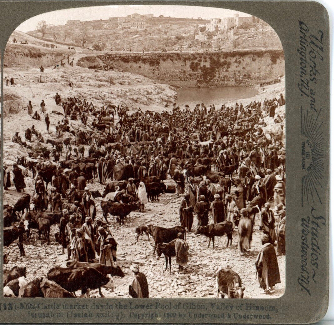 PALESTINE, Cattle Market Day in Lower Pool of Gihon--Underwood Stereoview J16