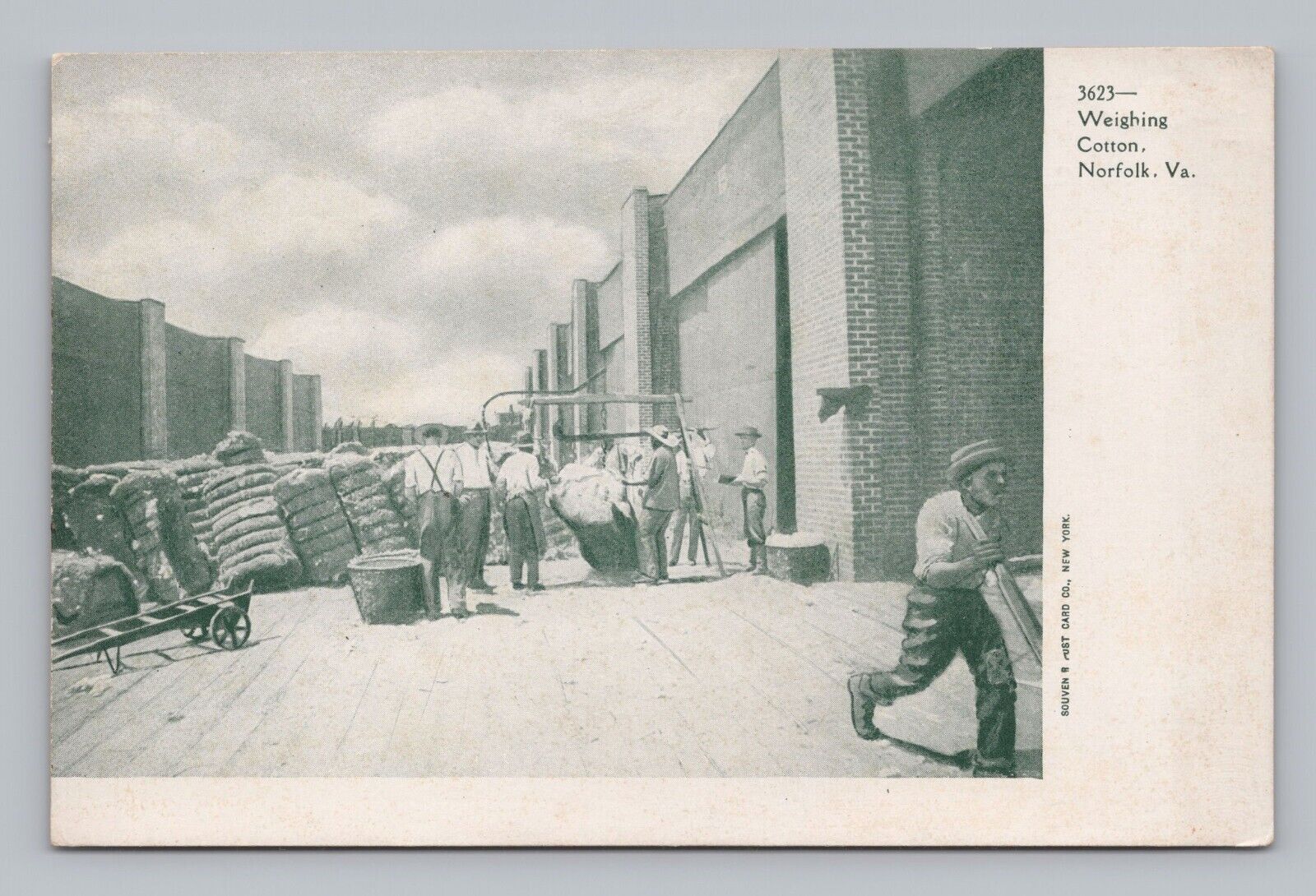 Postcard UDB Weighing Cotton Norfolk Virginia