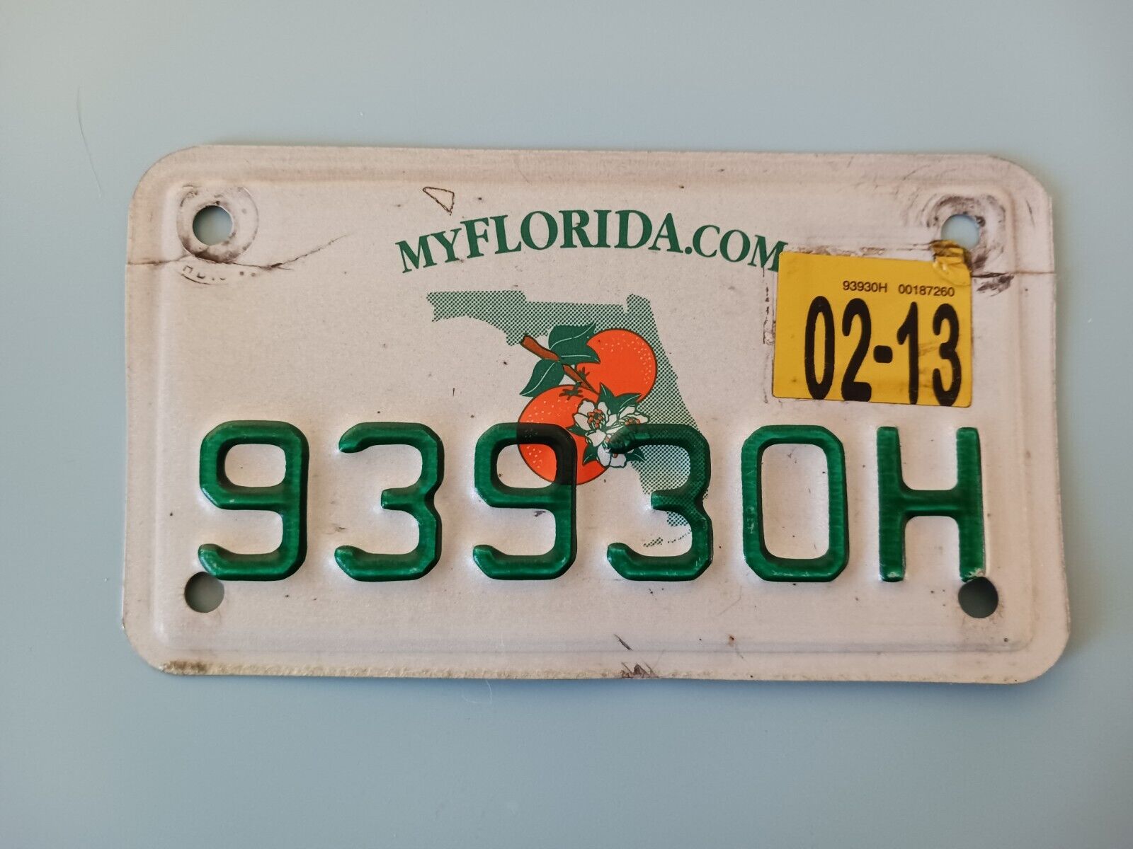2013 Florida Motorcycle License Plate 9393OH