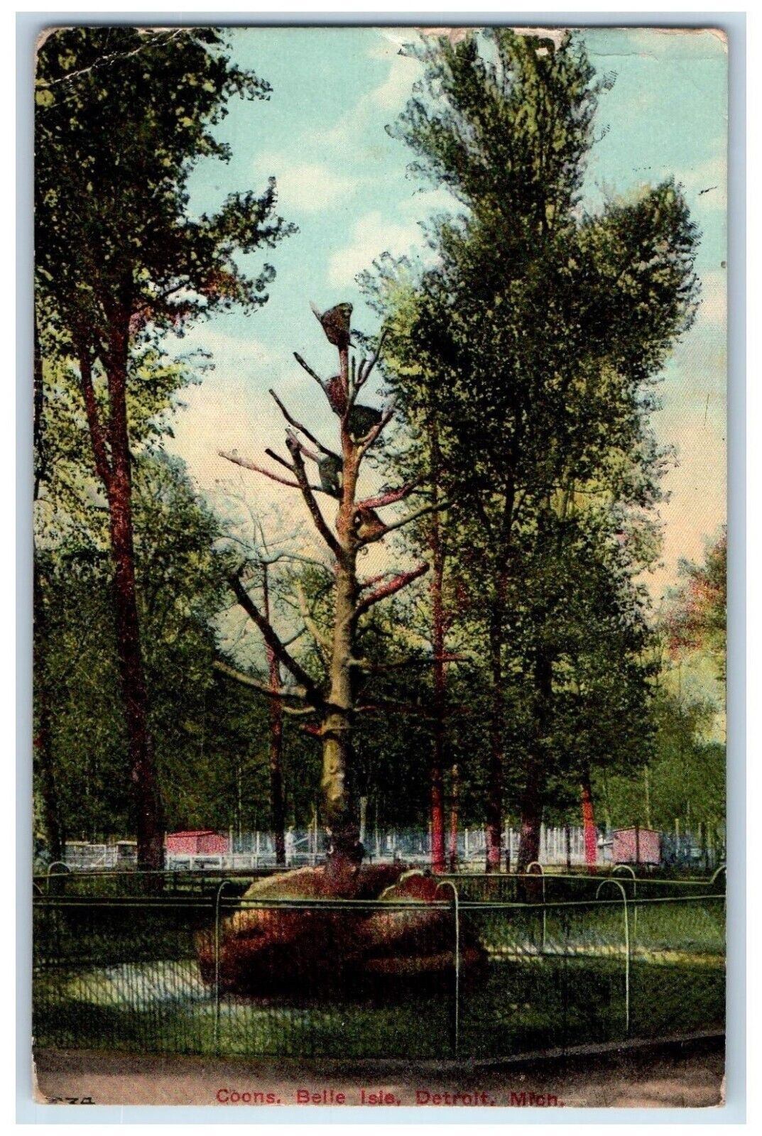 1912 Coons Belle Isle Windsor Canada Beautiful Parks Detroit Michigan Postcard