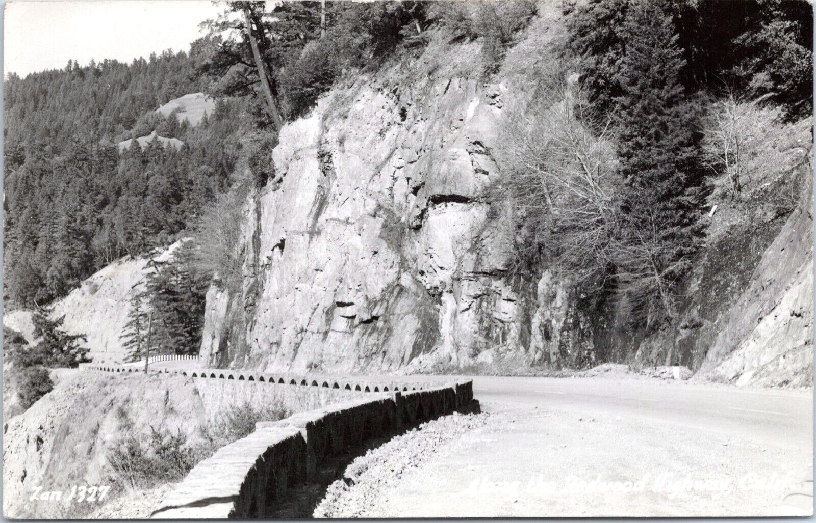 RPPC - Along the Redwood Highway, California - Photo Postcard - Zan Stark Photo
