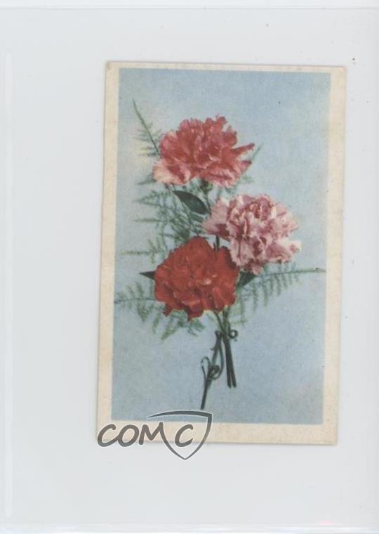 1972 Trucards Flowers Carnation (Dianthus Caryophyllus) #1 2u3