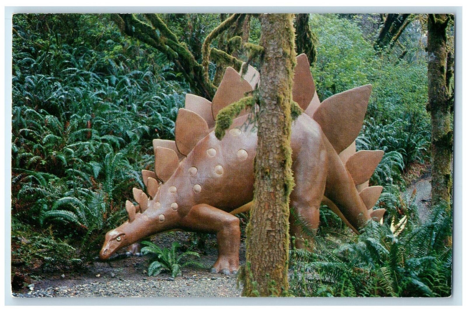 c1950's Stegosaurus Plant Eating Dinosaur Prehistoric Gardens Oregon OR Postcard