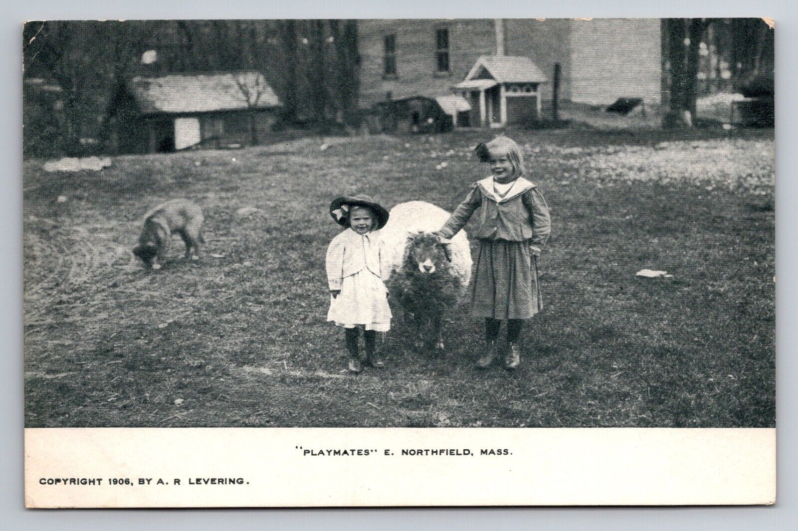 East Northfield,Mass.Playmates,2 Girls a Sheep and a Dog,VTG UNP C.1906 Postcard