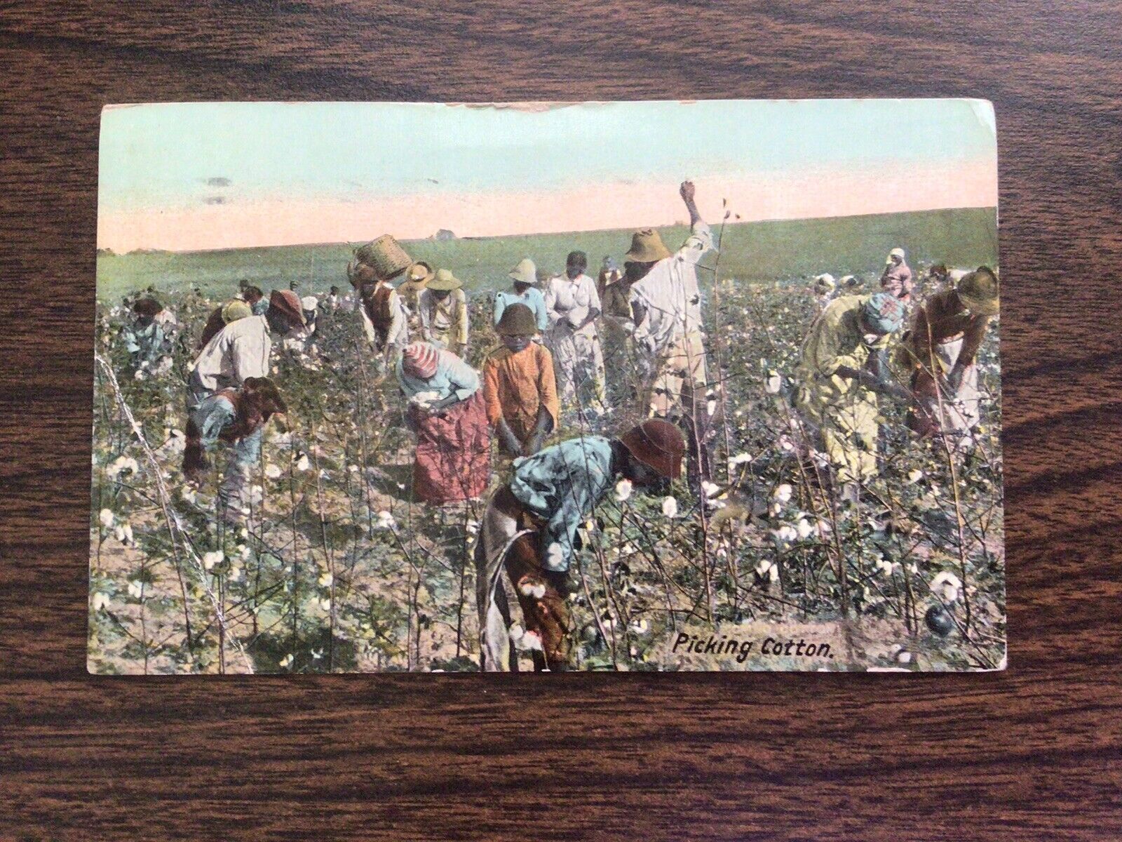 Vintage 1912 Florida Postcard “Picking Cotton” African Americans Picking Cotton