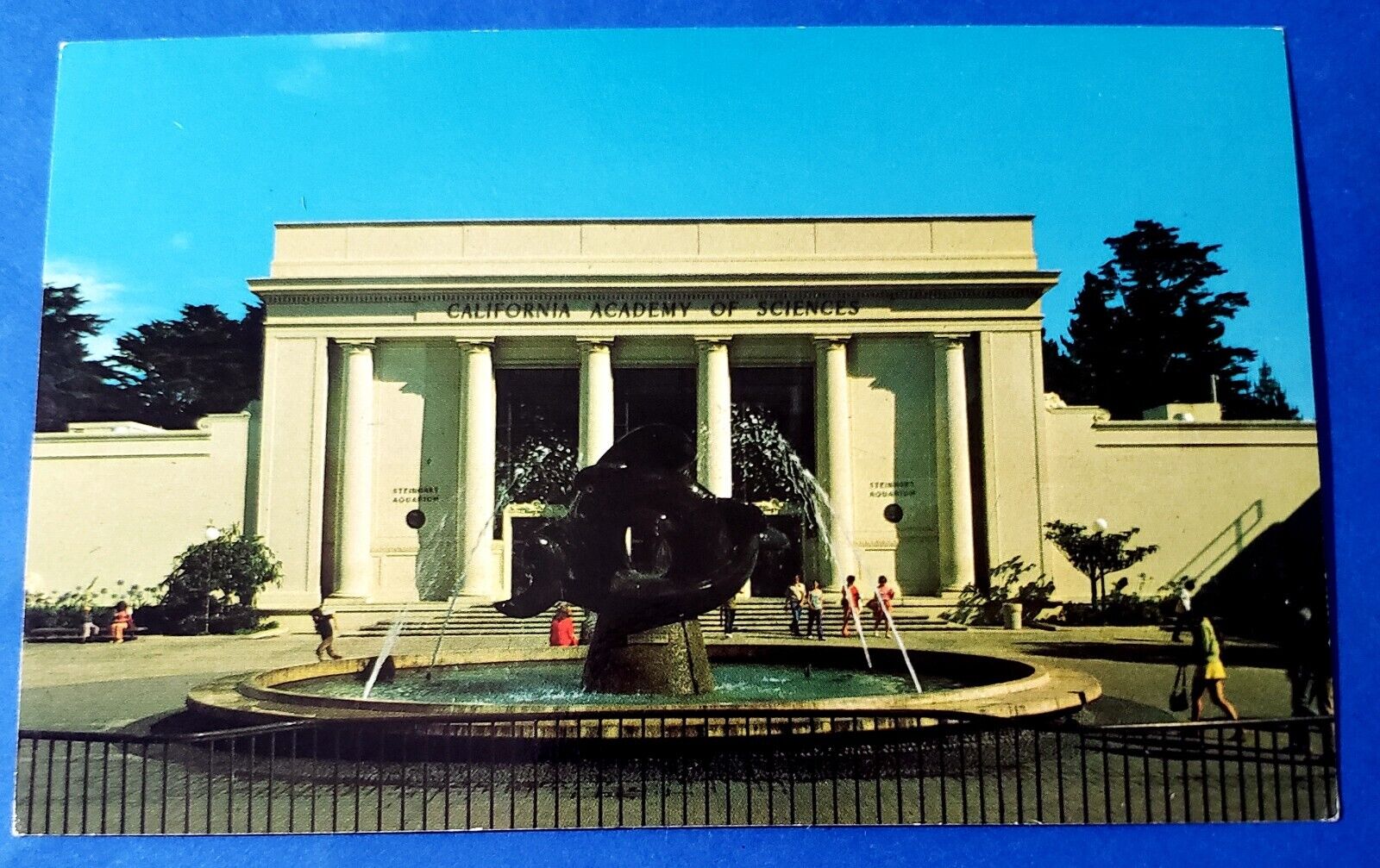 Postcard California Academy of Sciences San Francisco CA CAS-9