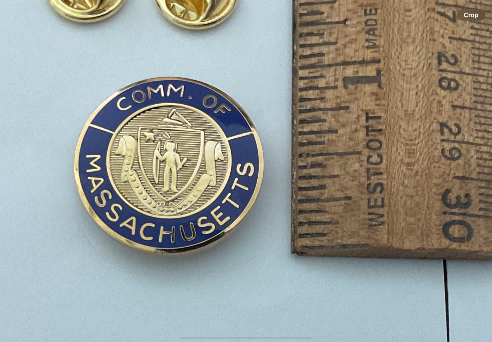 Massachusetts State Collar Seal custom made enamel Blue and gold trim two pins