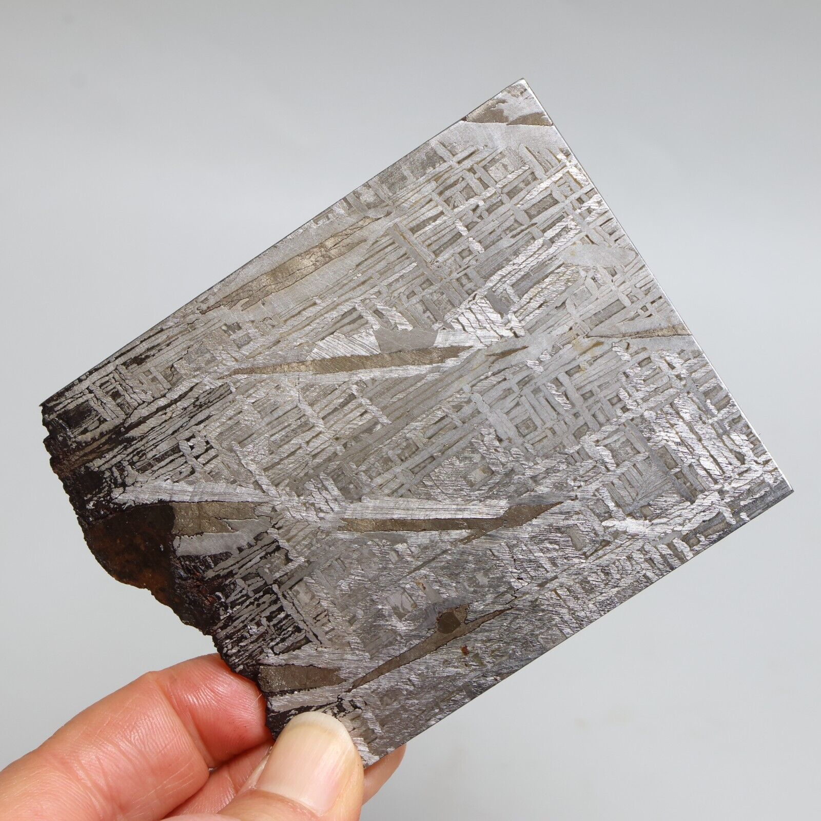 165g Muonionalusta Meteorite ,  Naturally Iron Meteorite slice, Collection F242