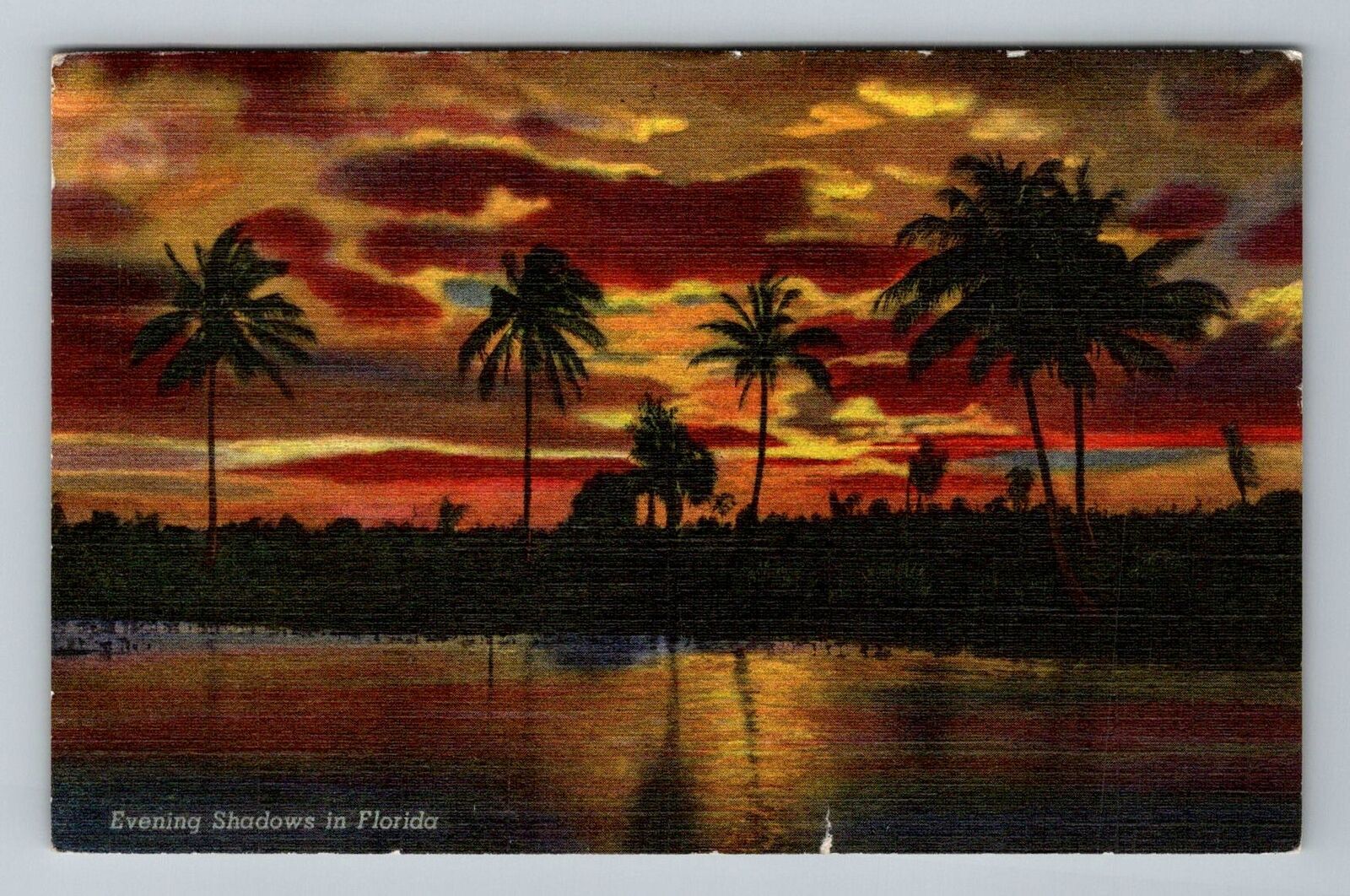 FL-Florida Colorful Evening Shadows Vintage c1951 Souvenir Postcard