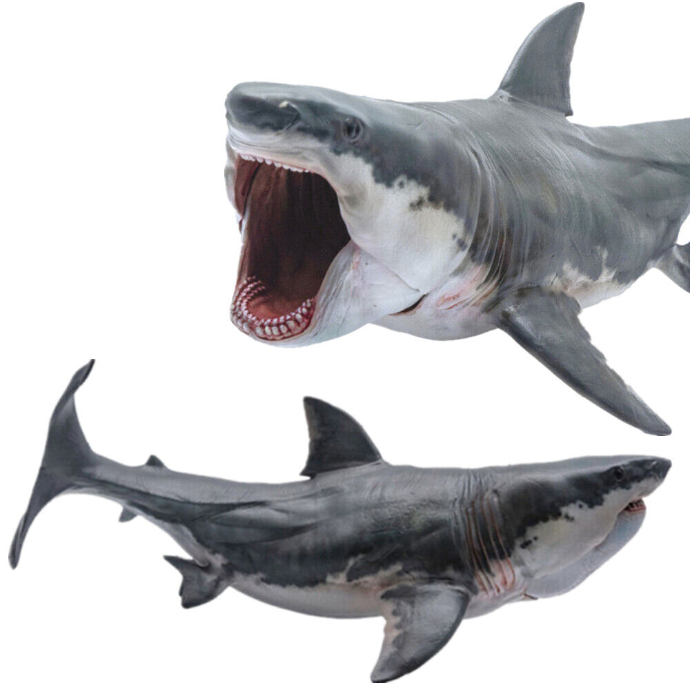 PNSO 15 Megalodon Model Shark Ocean Animal Figure Collection Decoration Gift Toy