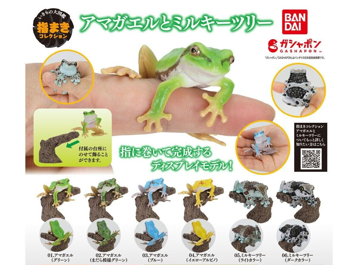 PSL Living Creatures Encyclopedia: Finger-Maki Collection: Tree Frogs and Milky
