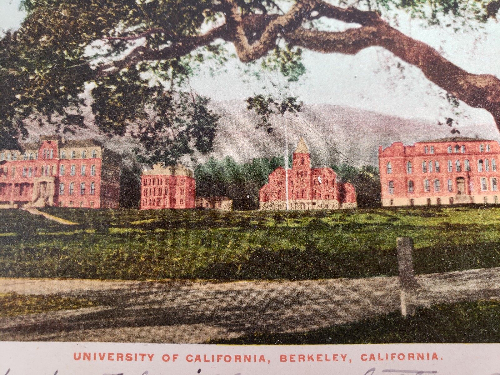 C 1907 University of California Berkeley CA College Early View Antique Postcard 
