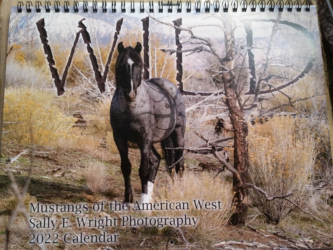 MISPRINT cover- 2023 WILD, Mustangs of the American West 13 month horse calendar