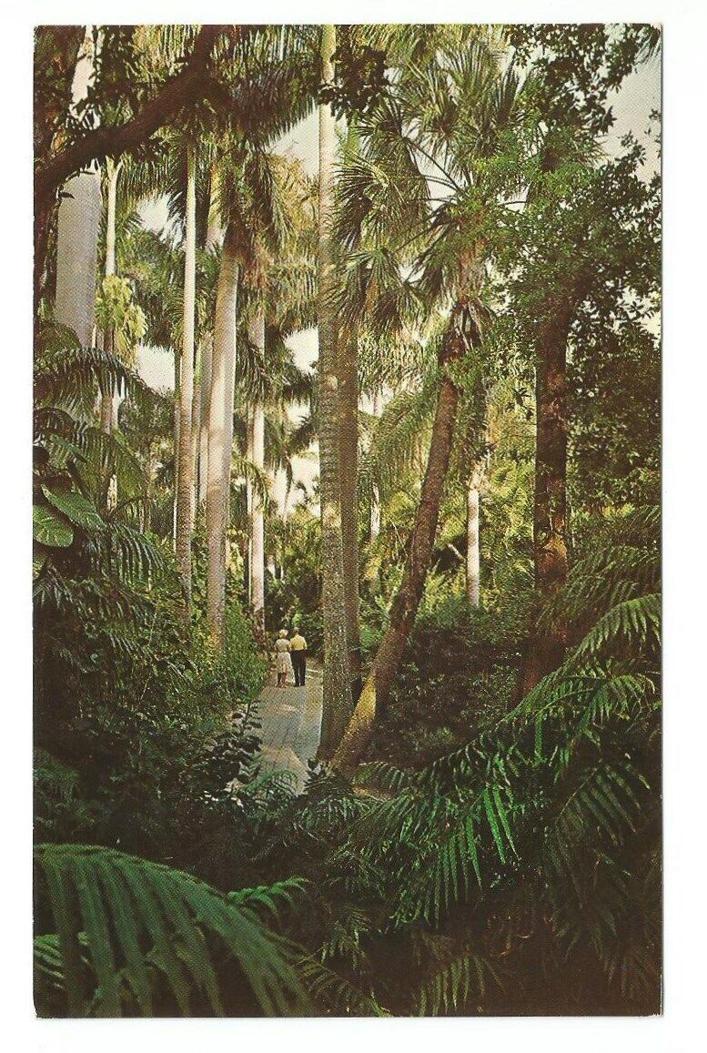 Sarasota FL Postcard Florida Sarasota Jungle Gardens