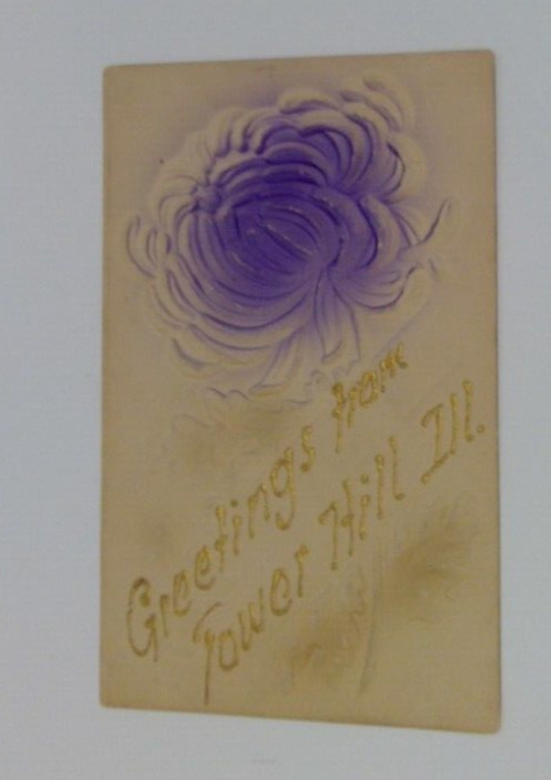 Greetings From TOWER HILL ILL.  Airbrushed Flowers Glitter Postcard