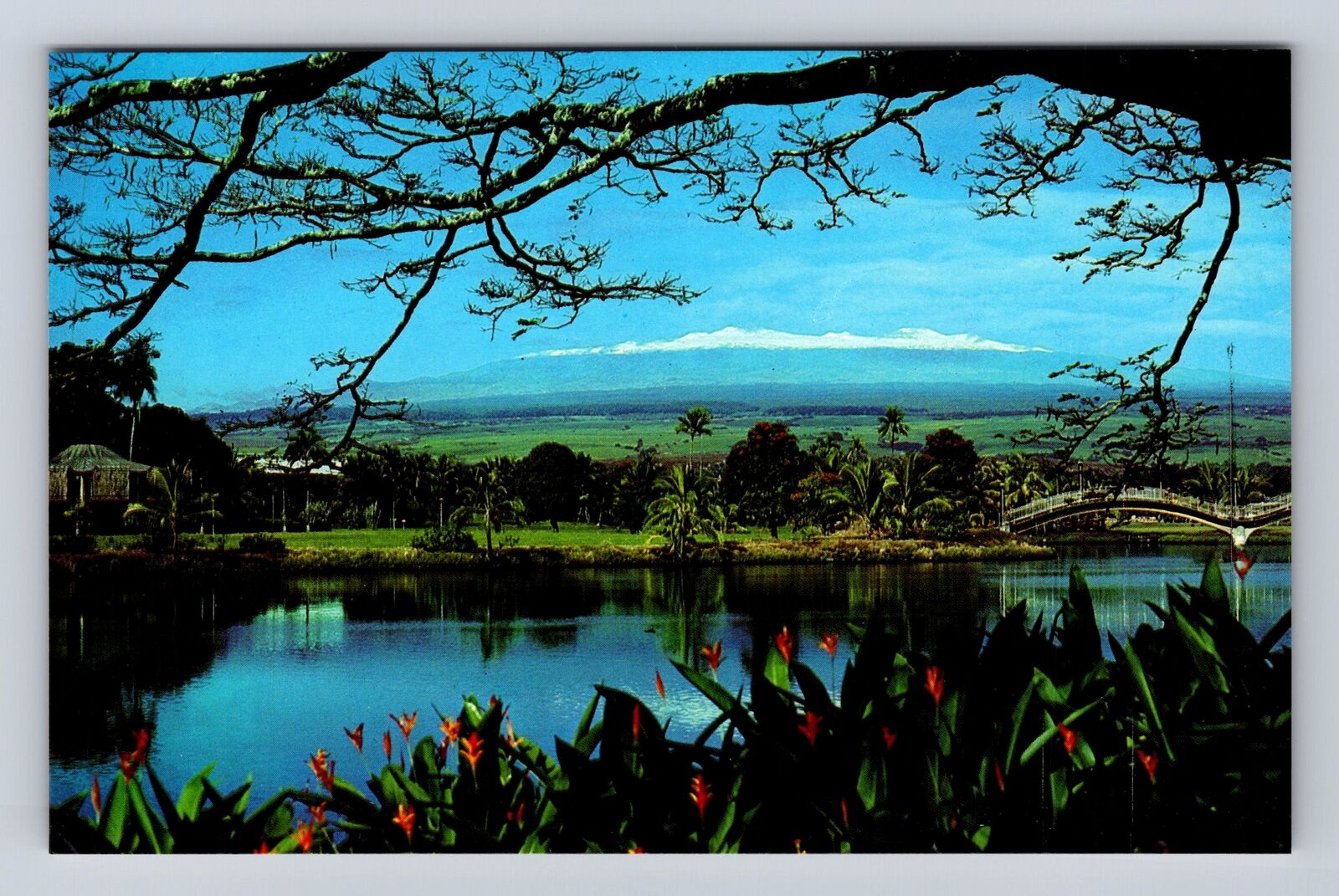 Liliuokalani Park HI-Hawaii, Mauna Kea, Dormant Volcano Antique Vintage Postcard