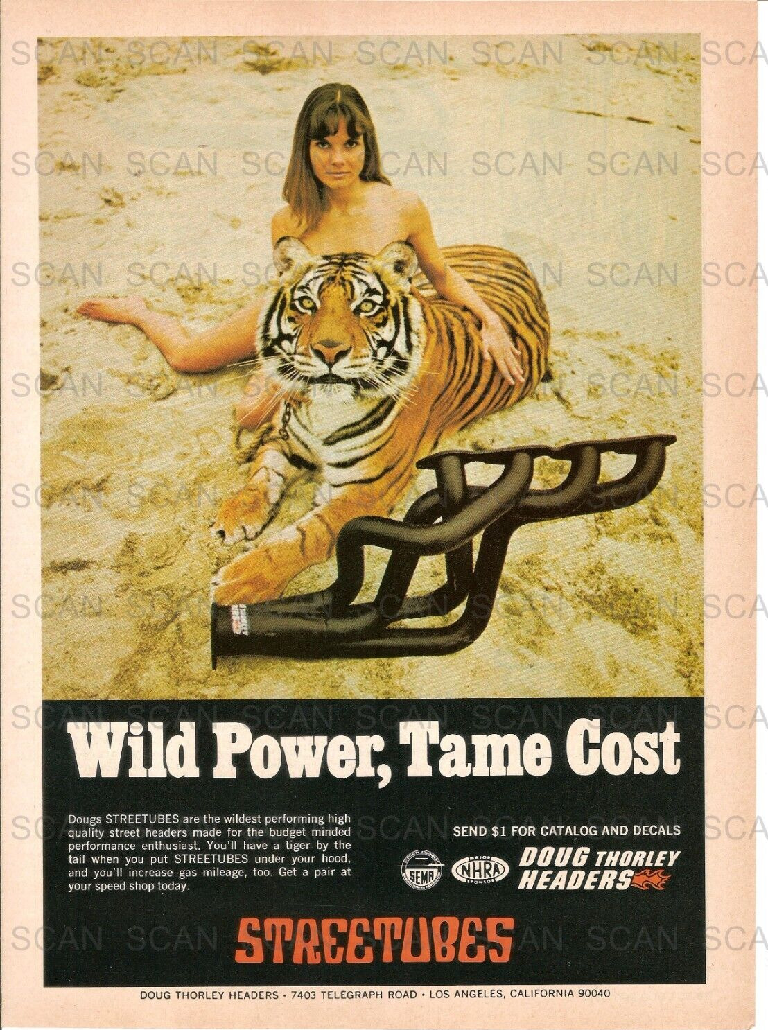 1974 Street Tubes Vintage Magazine Ad  Naked Girl and a Tiger    Thorley Headers