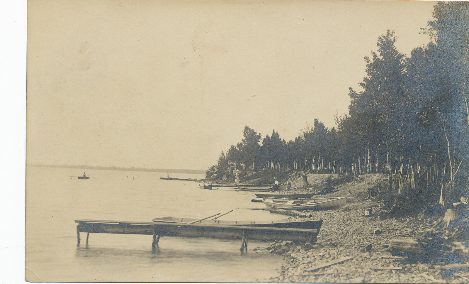 Rowboats along the Wooded Shoreline real photo postcard 1908